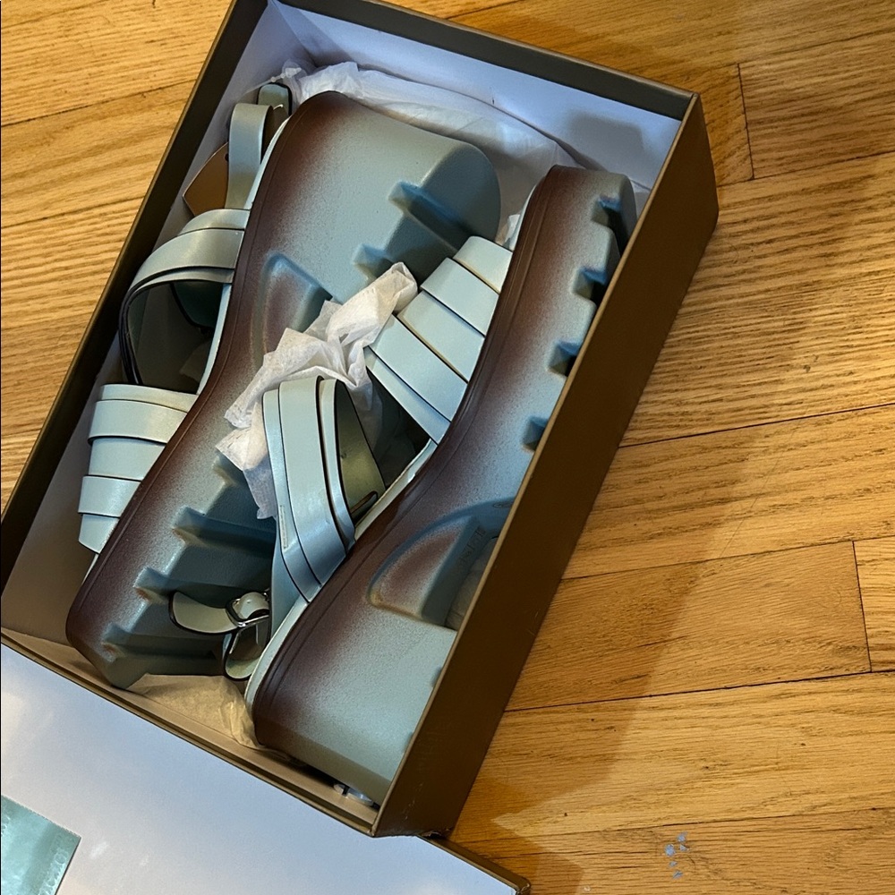 Chunky Platform Sandals in Blue and Brown